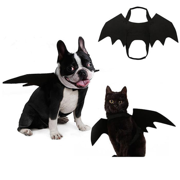 Halloween Pet Costumes Bat Wings