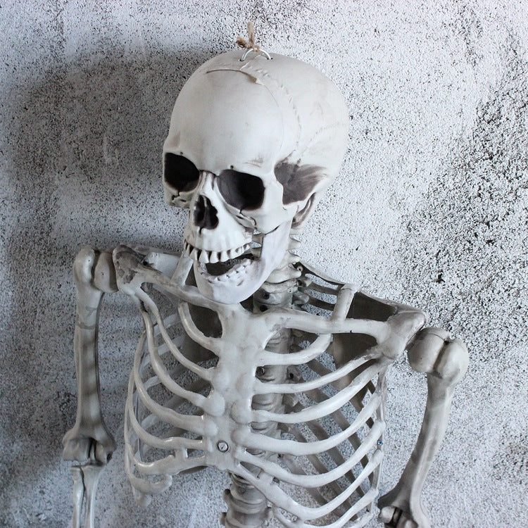 Halloween Skeleton Decorations