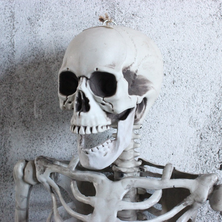 Halloween Skeleton Decorations