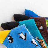 New Arrival Cute Animal & Cactus Series Socks