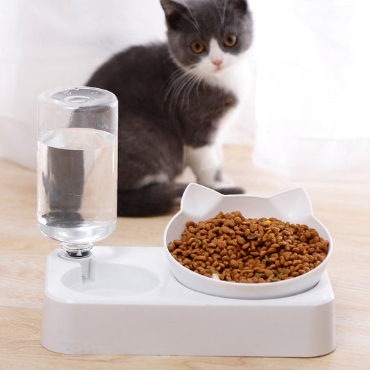 Rectangular Base Double Pet Bowl