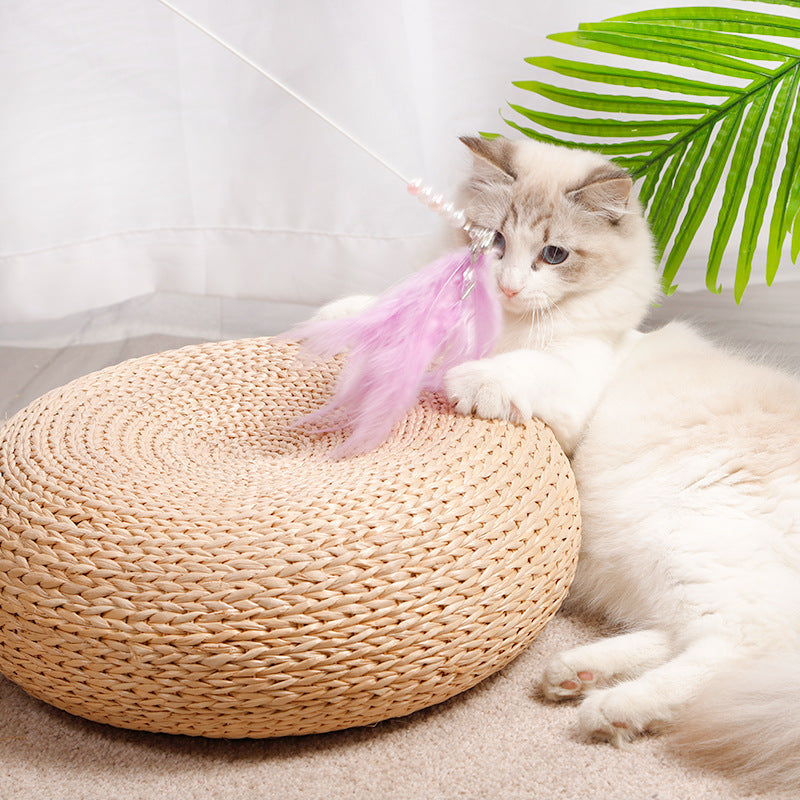 Feather Angel Wings Make-fun Cat Stick