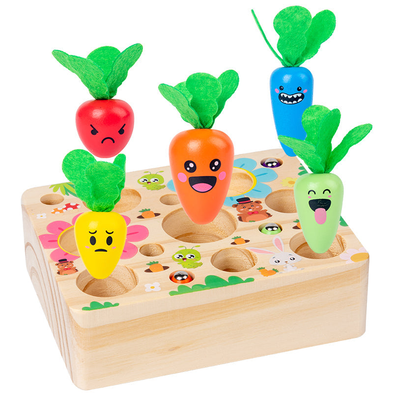 Wooden Harvest Carrot Toy Set