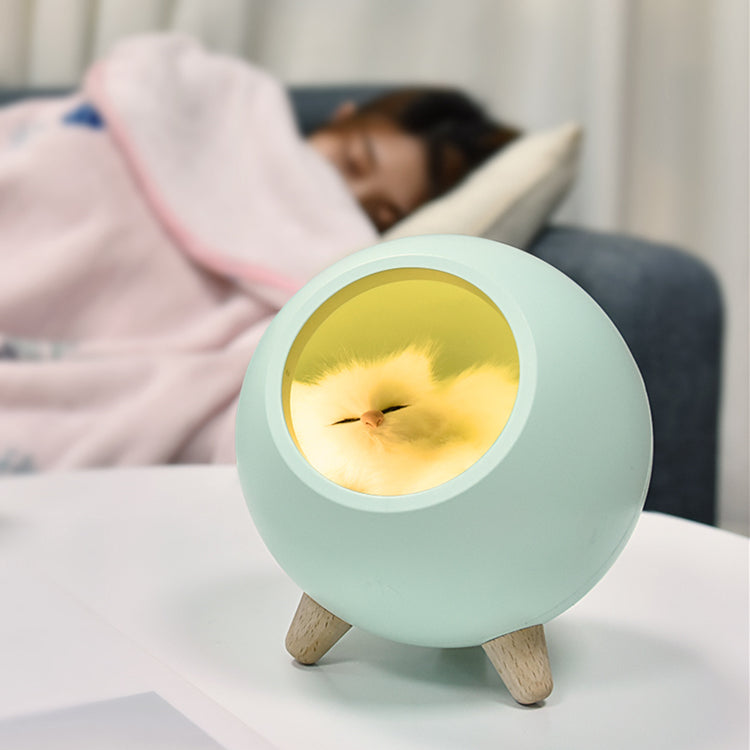 Cute Cat House Night Light